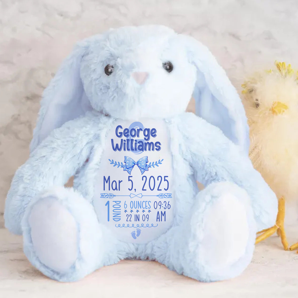 Newborn Birth Stat Keepsake Gift - Personalized Stuffed Bunny