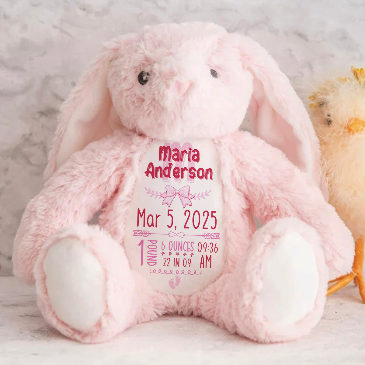 Newborn Birth Stat Keepsake Gift - Personalized Stuffed Bunny