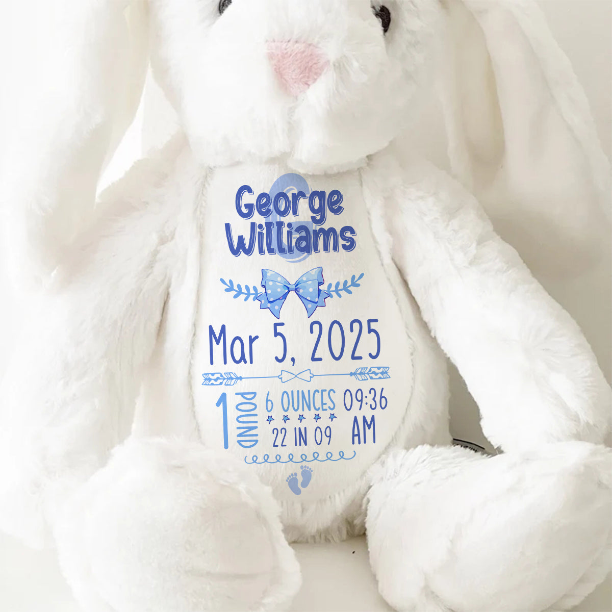 Newborn Birth Stat Keepsake Gift - Personalized Stuffed Bunny
