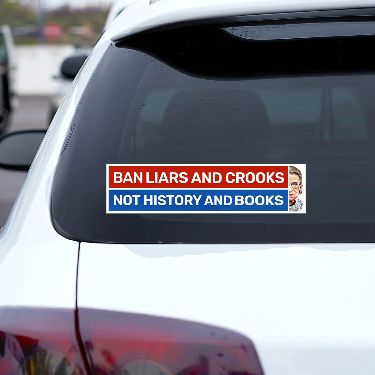 Ban Liars And Crooks Not History And Books - Car Bumper Sticker