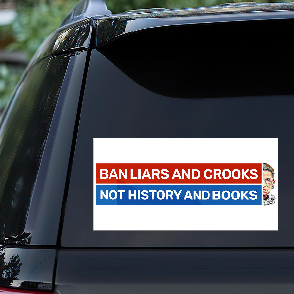 Ban Liars And Crooks Not History And Books - Car Bumper Sticker