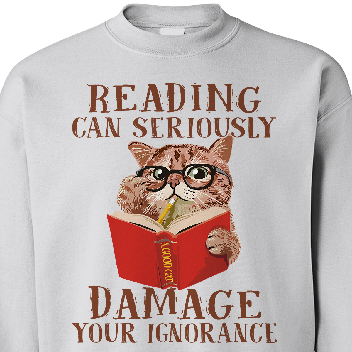 Reading Can Seriously Damage Your Ignorance Book Lovers Gift SWW83