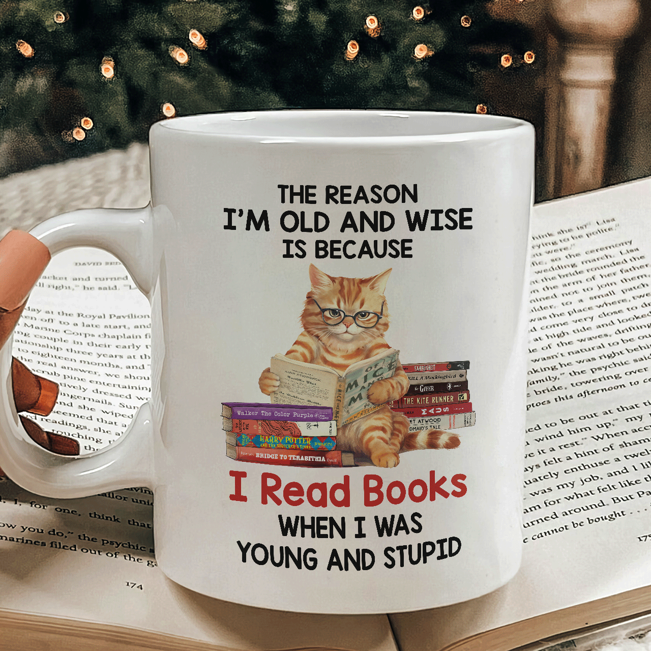 The Reason I'm Old And Wise Is Because I Read Books When I Was Young And Stupid Book Lovers Gift MUGW291