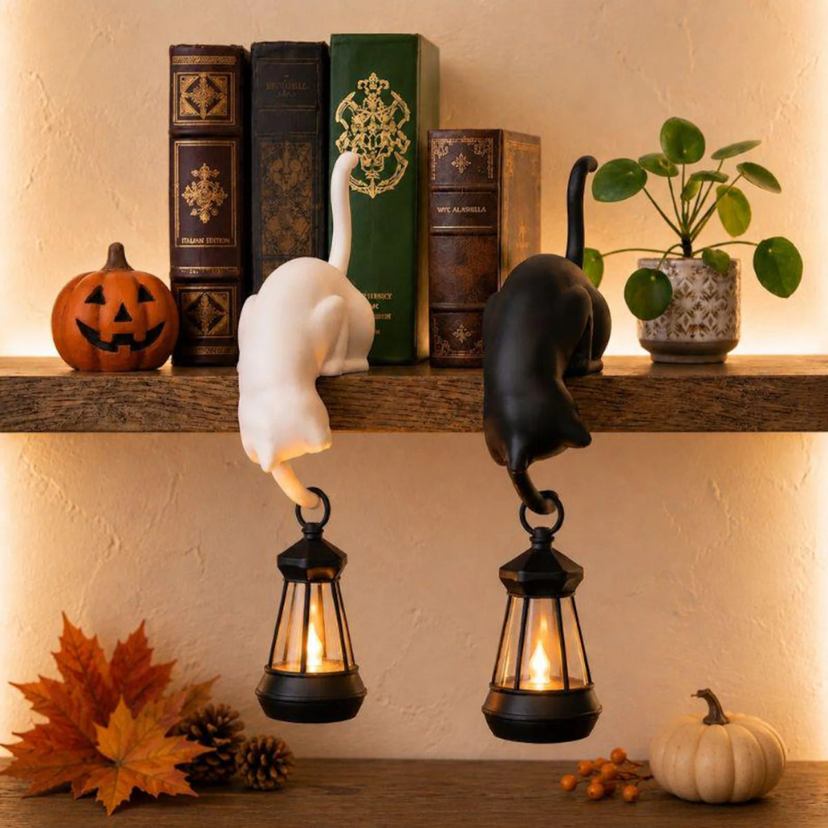 Personalized Hanging Cat Shelf Lantern