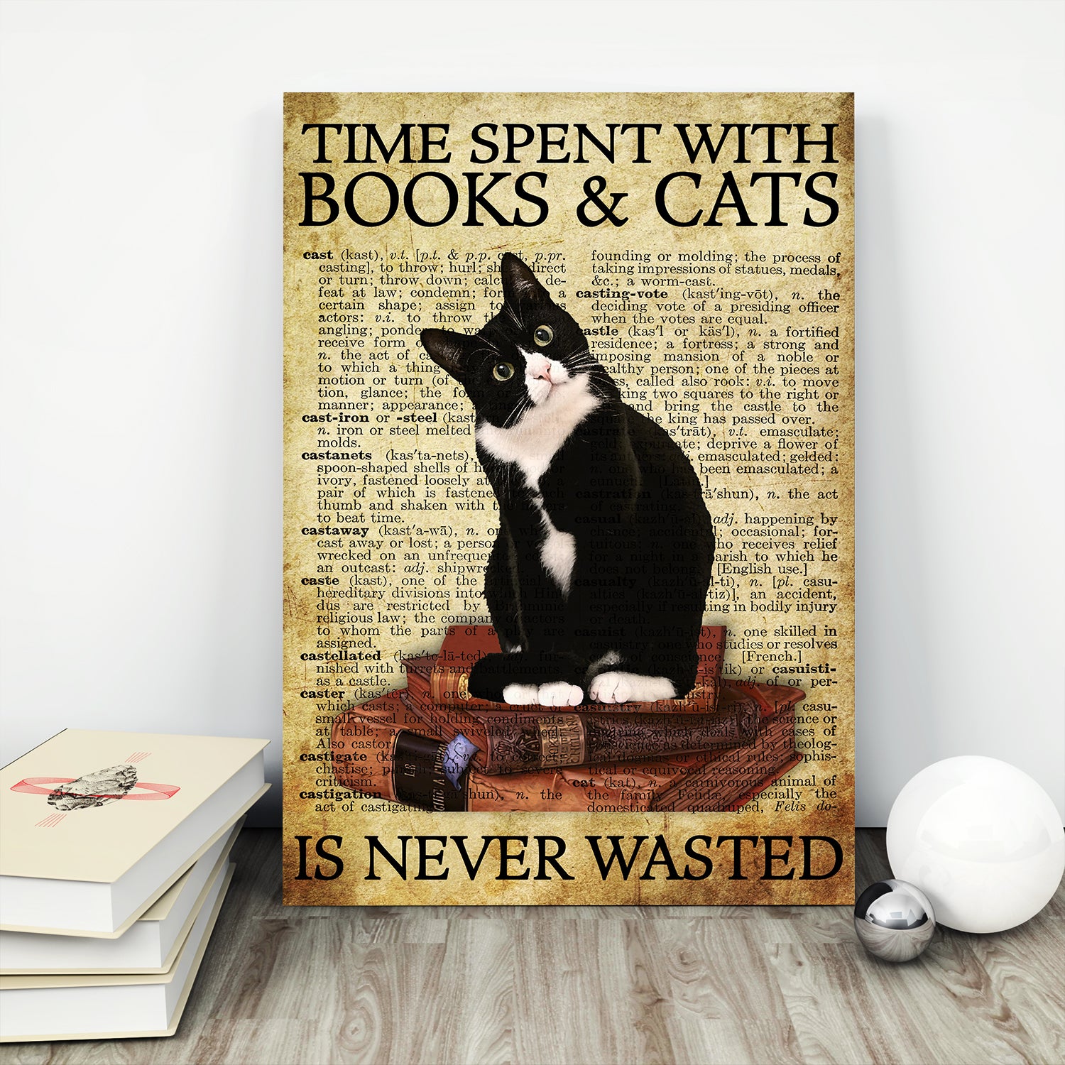 Time Spent With Books And Cats Is Never Wasted Book Lovers Gift POS02