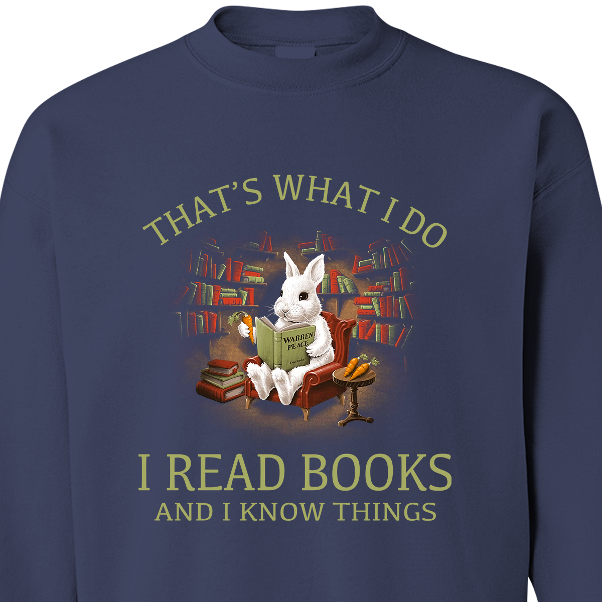 That's What I Do I Read Book And I Know Things Book Lovers Gift SWB38